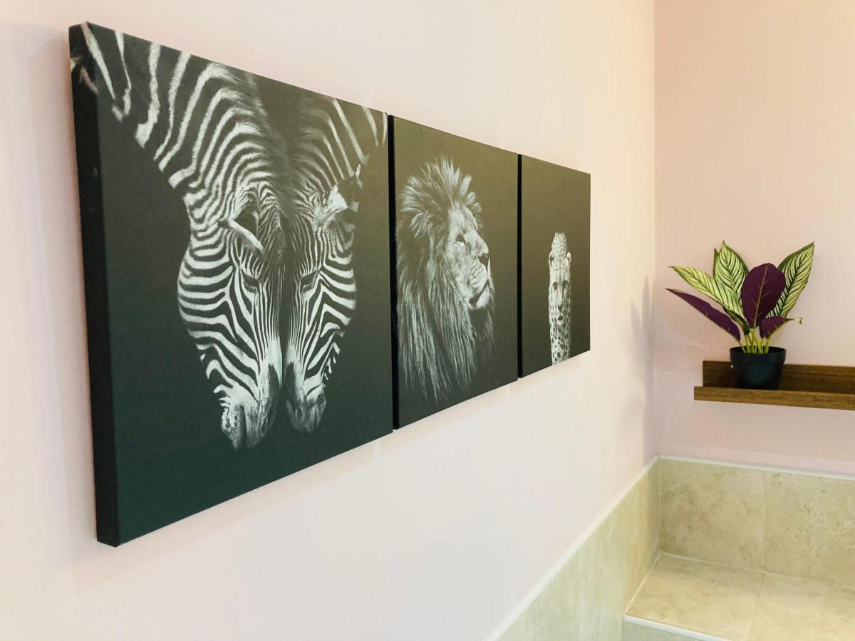 Jungle Escape, City Apartment With Parking & Terrace تشيستر المظهر الخارجي الصورة